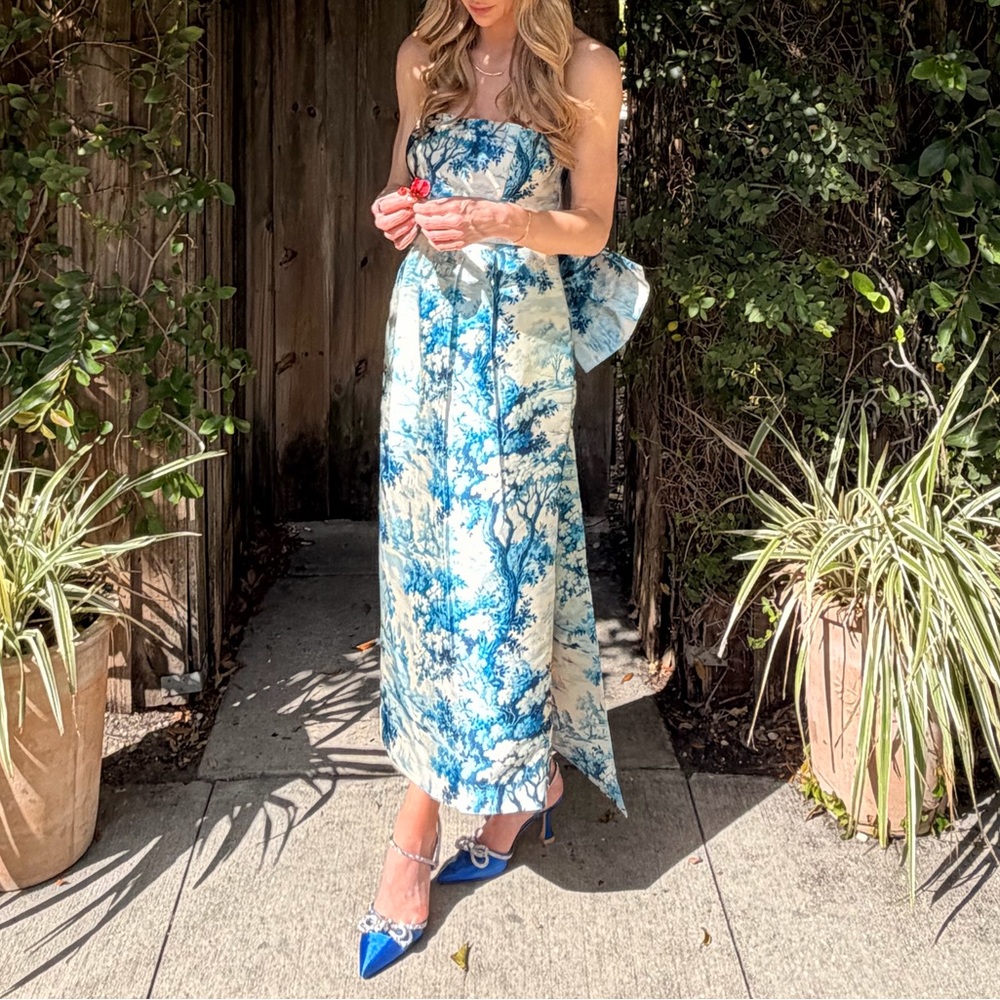 Mestiza New York - Lorena Strapless Toile-Print Bow Midi Dress (size 2)